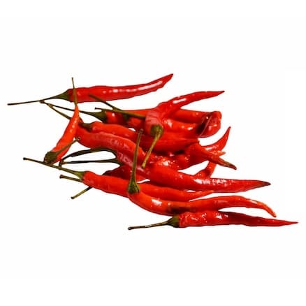 紅小辣椒