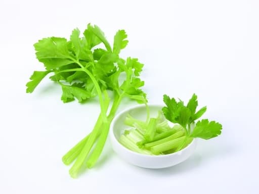 芹菜